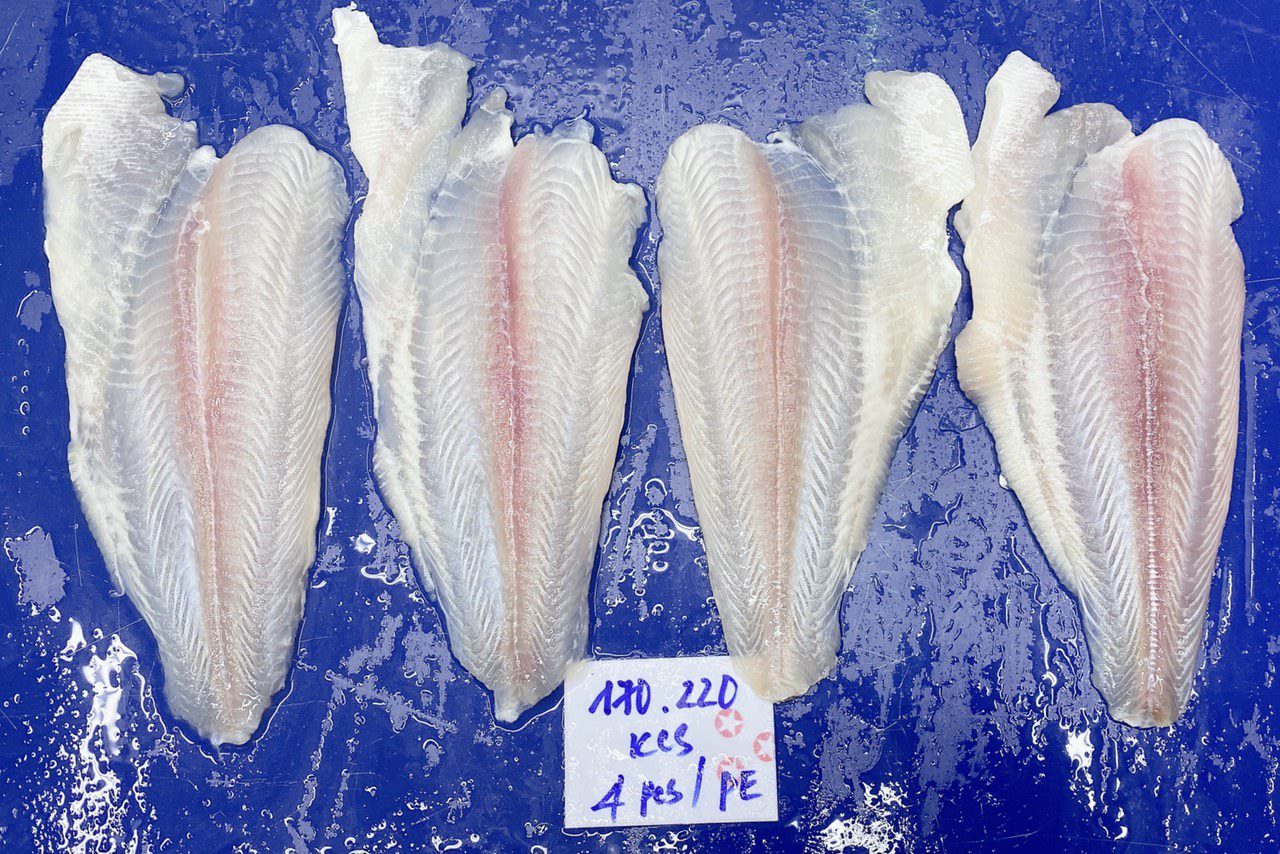 Pangasius Fillet un-trimmed