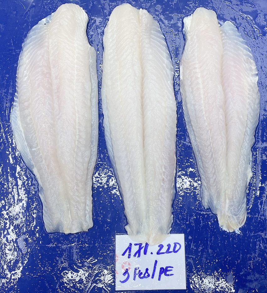 Pangasius Fillet well-trimmed