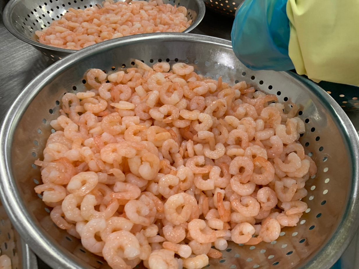 Shrimp Vannamei Cooked PD